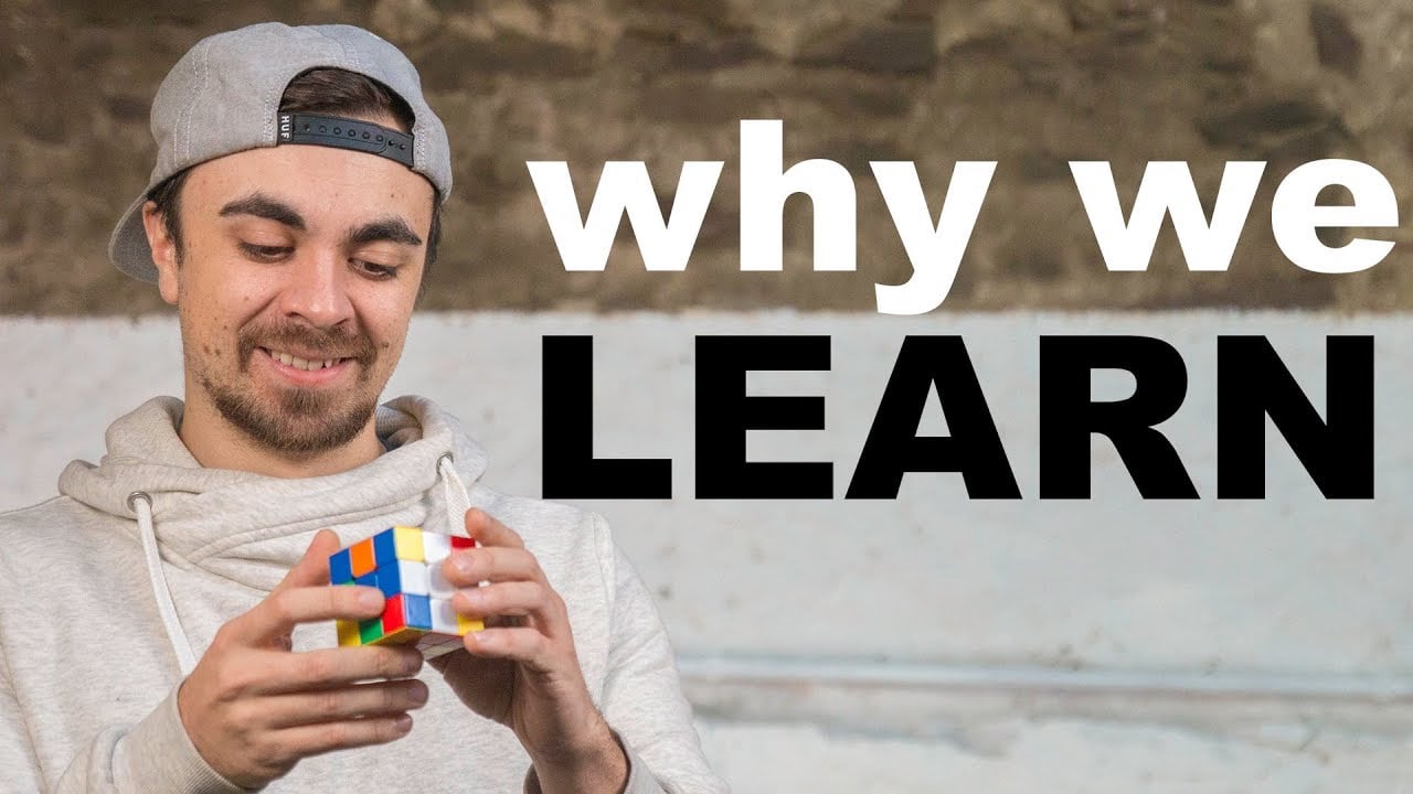 Why We Love to Learn