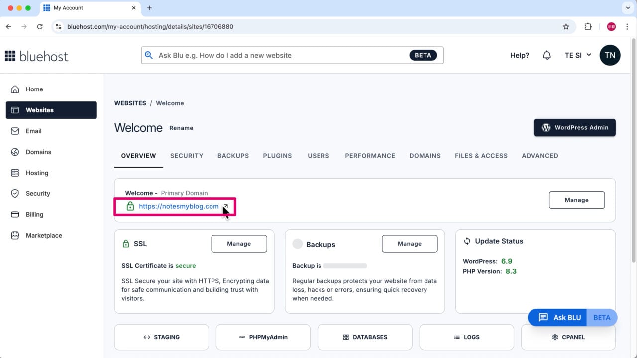 Bluehost 域名新分頁開啟網站