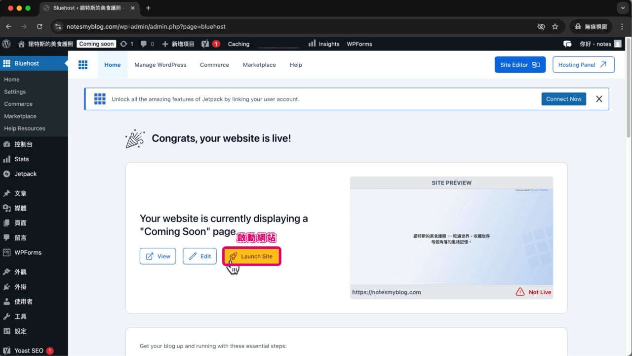 Bluehost 外掛 啟動網站公開網站