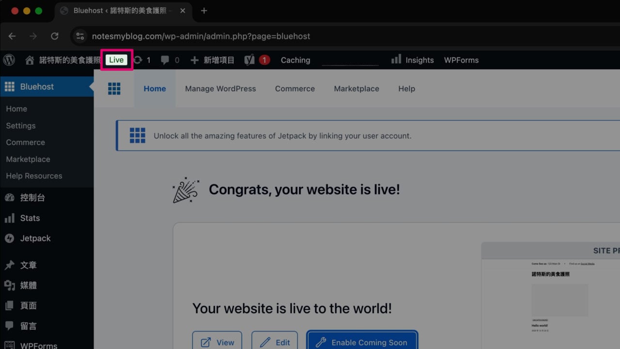Bluehost 外掛網站上線 live