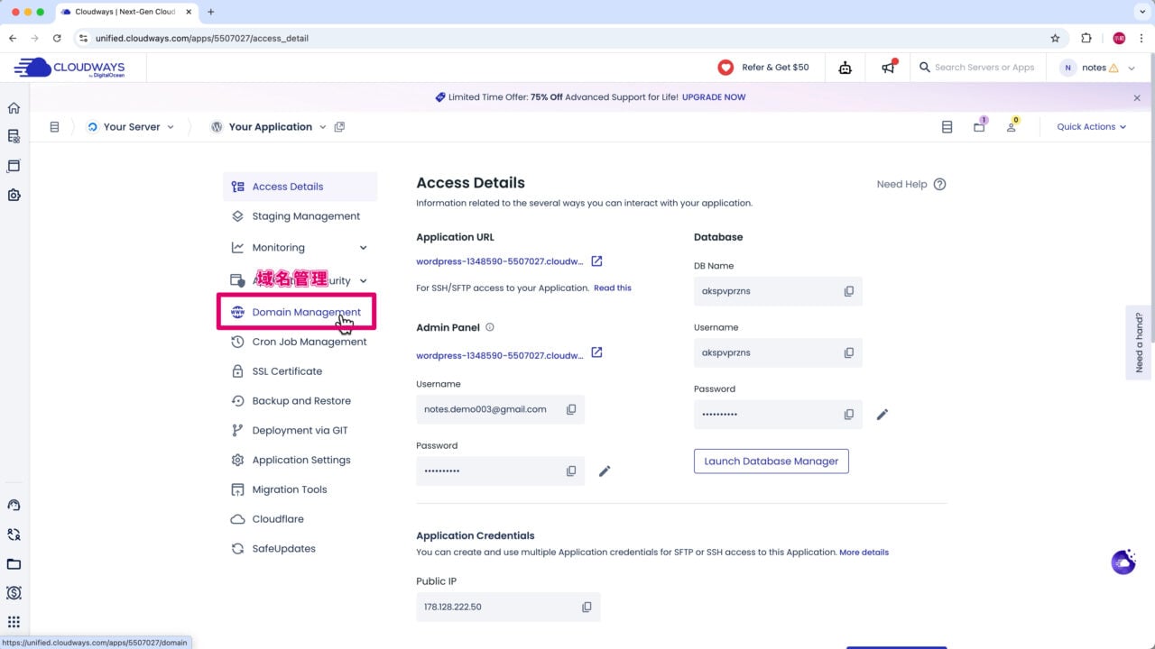 Cloudways 前往域名管理