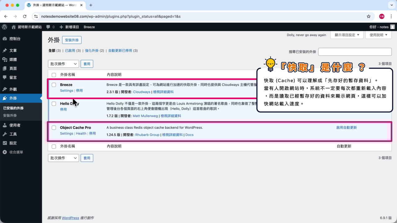 Cloudways 快取外掛保留