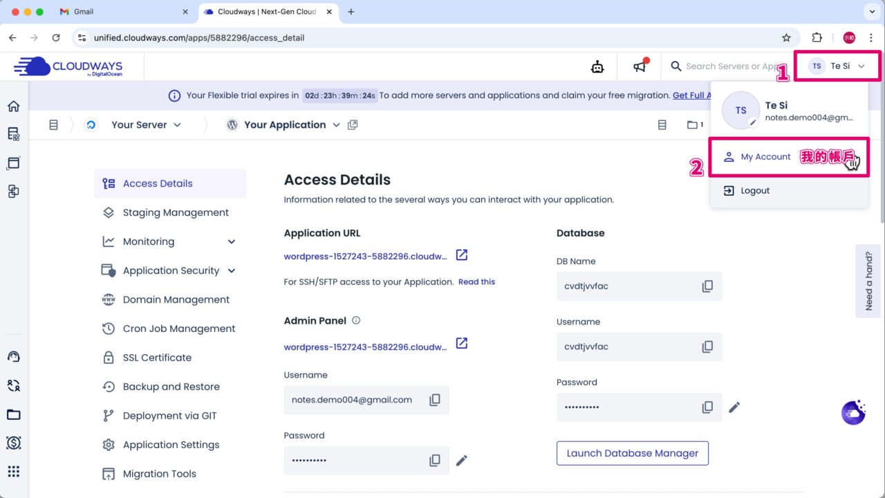 Cloudways使用者帳戶 我的
