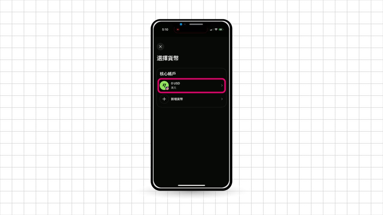 Wise 入金核心帳戶 美元