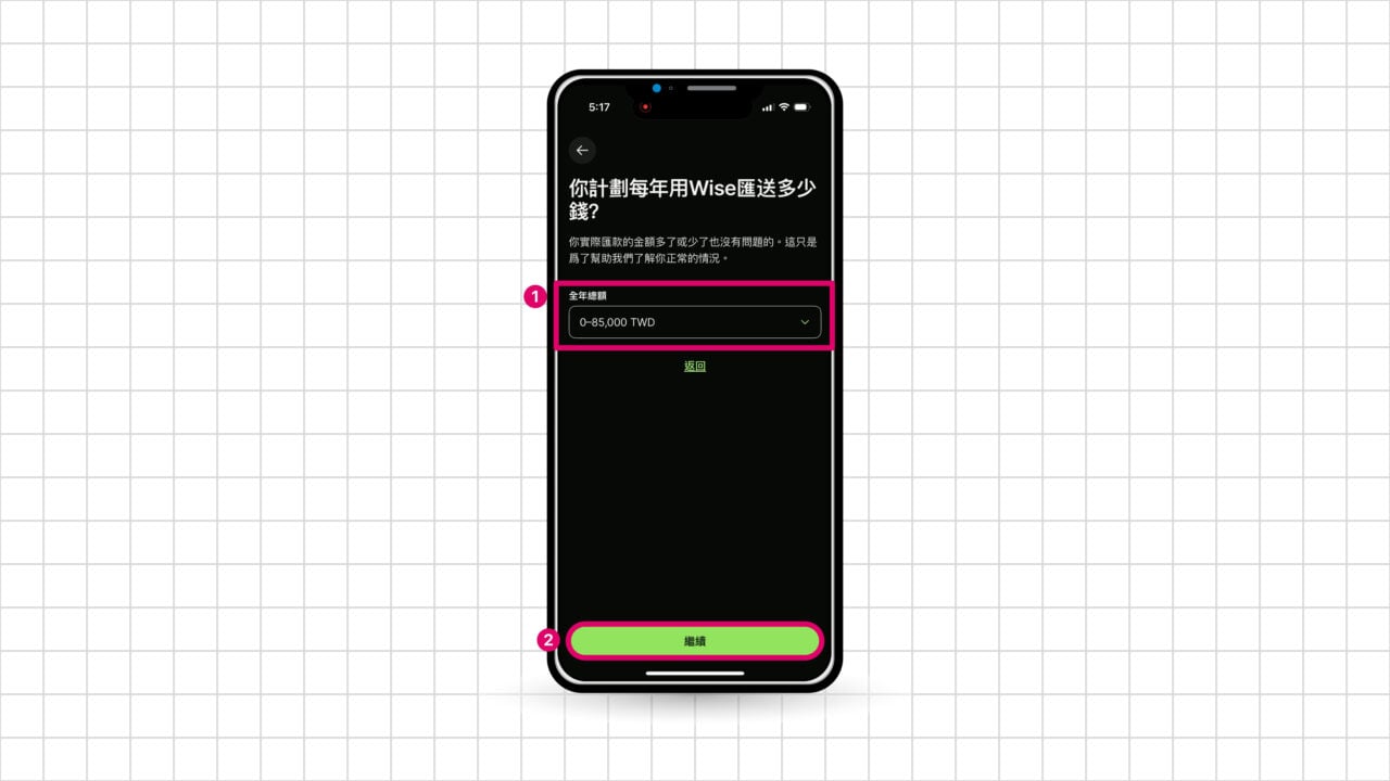 Wise 每年匯送金額