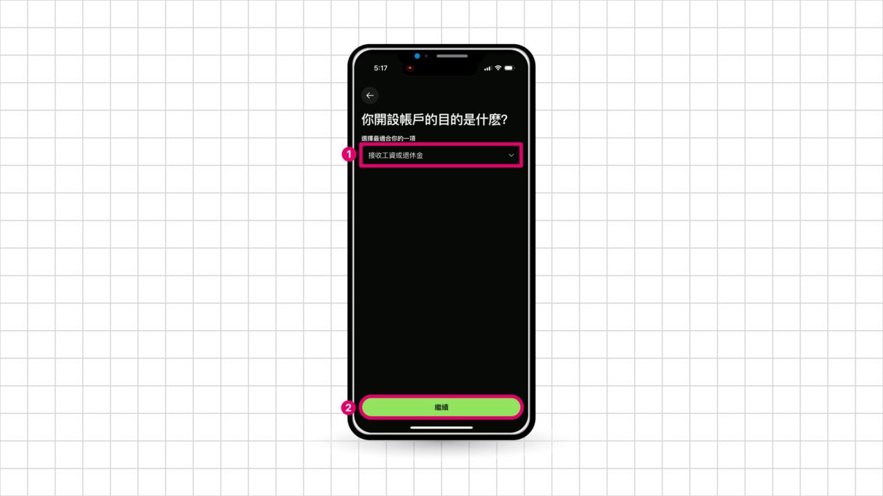 Wise 設帳戶目的