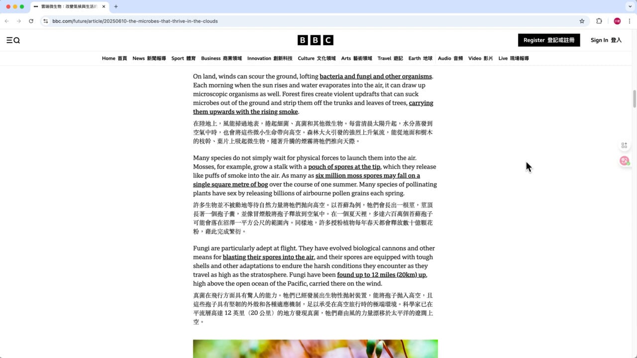 一鍵翻譯網頁雙語顯示