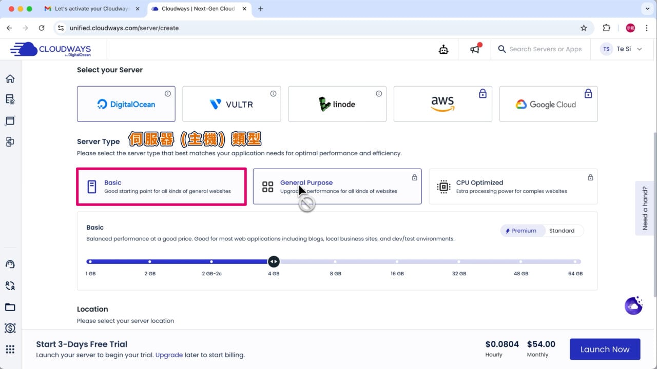 主機類型預設Basic