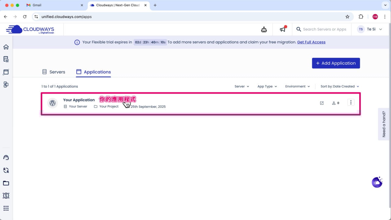 你的應用程式選擇網站
