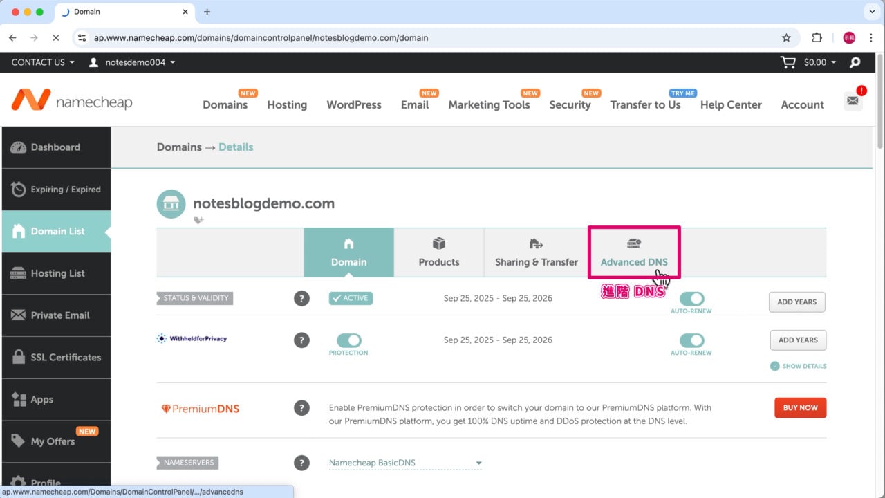 切換域名進階 DNS