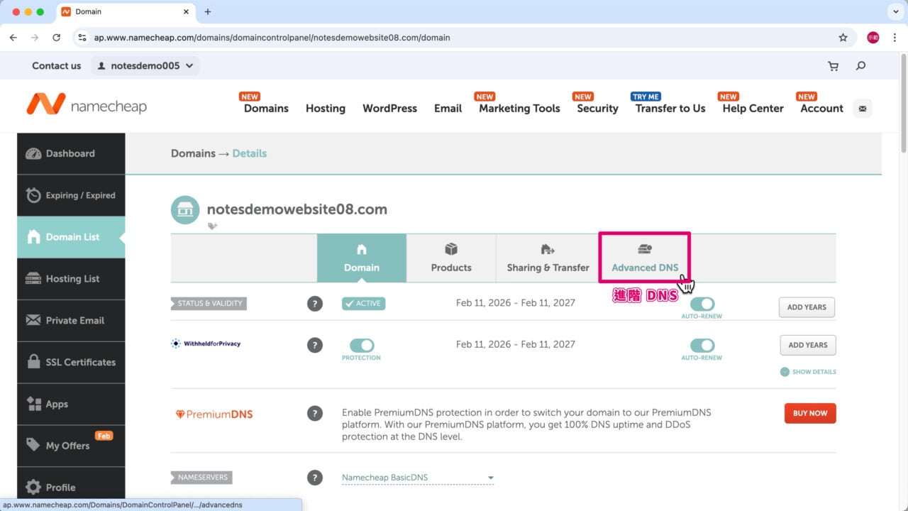 切換域名進階 DNS v2