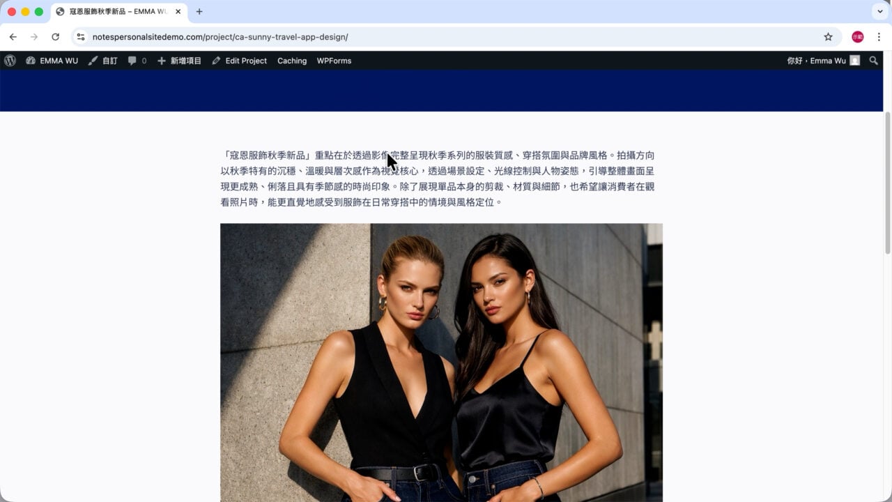前台檢查專案內文