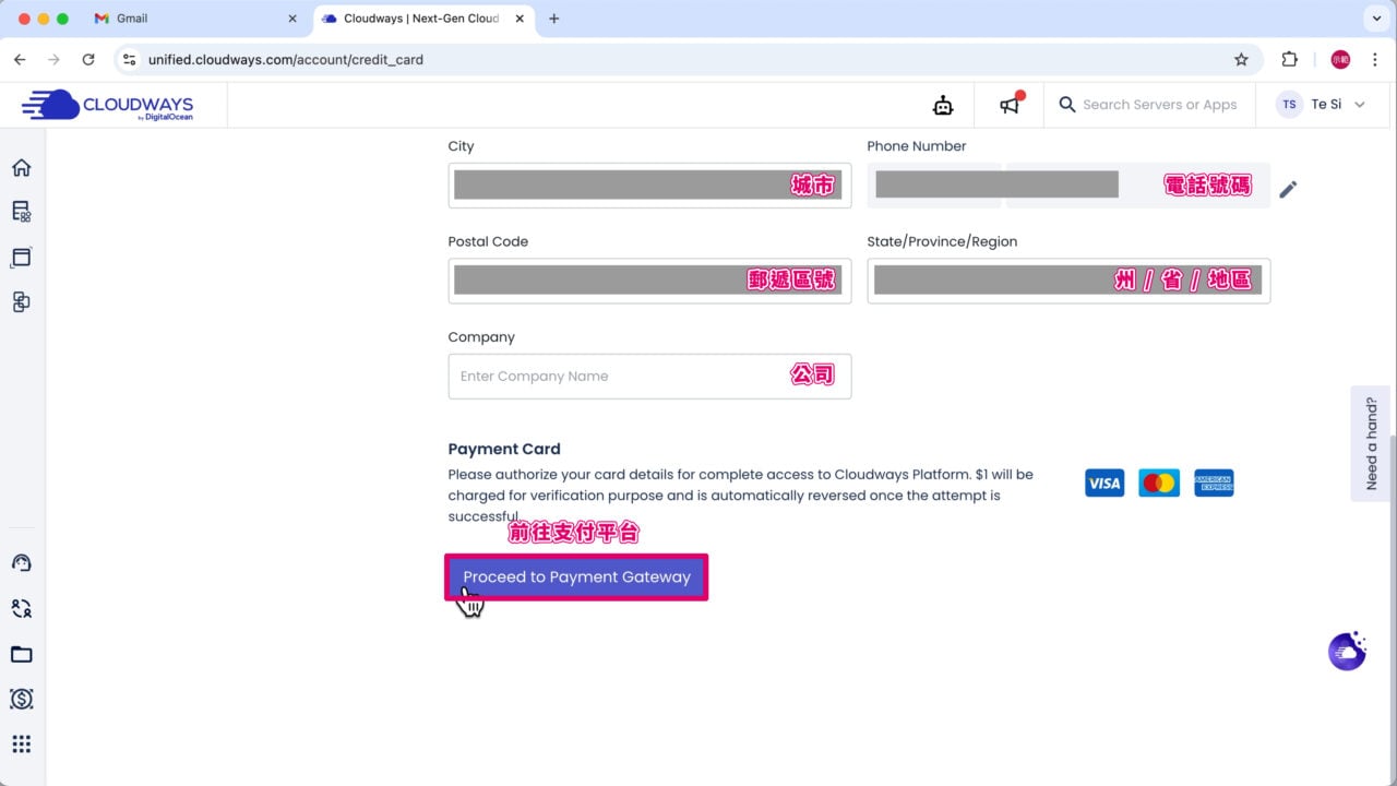 前往支付平台v2