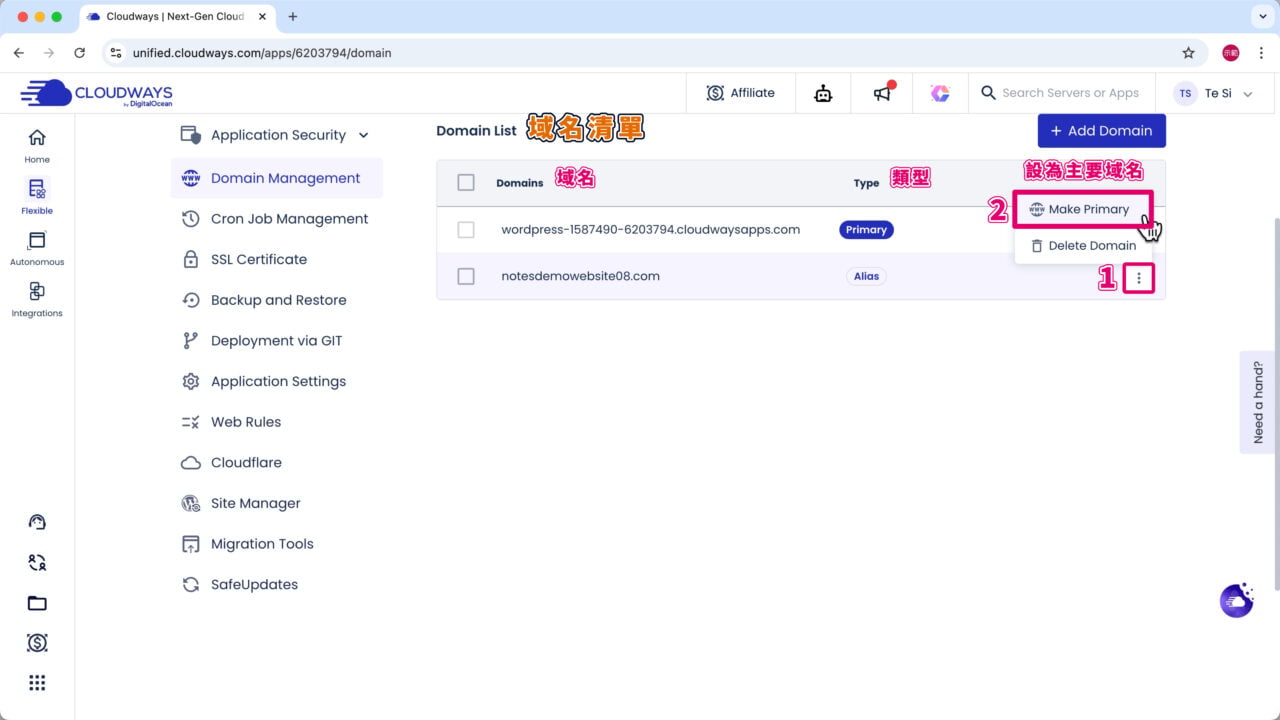 域名清單 設為主要域名 v3