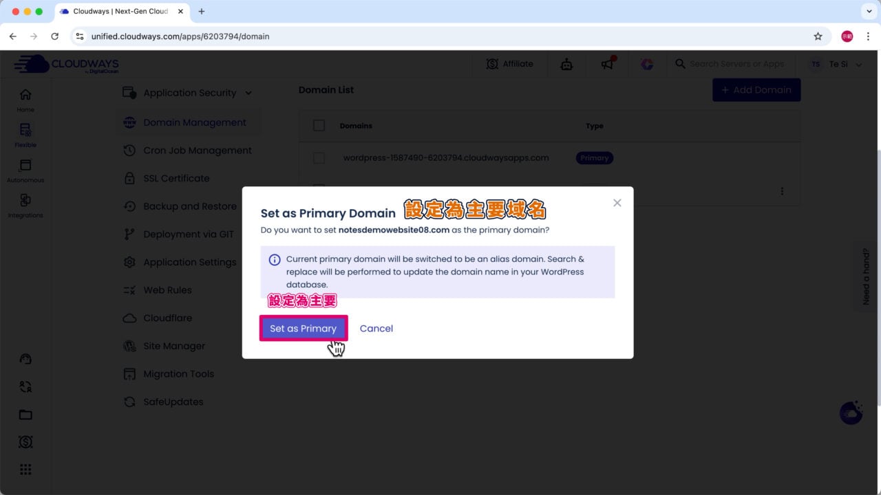 域名設定為主要 v3