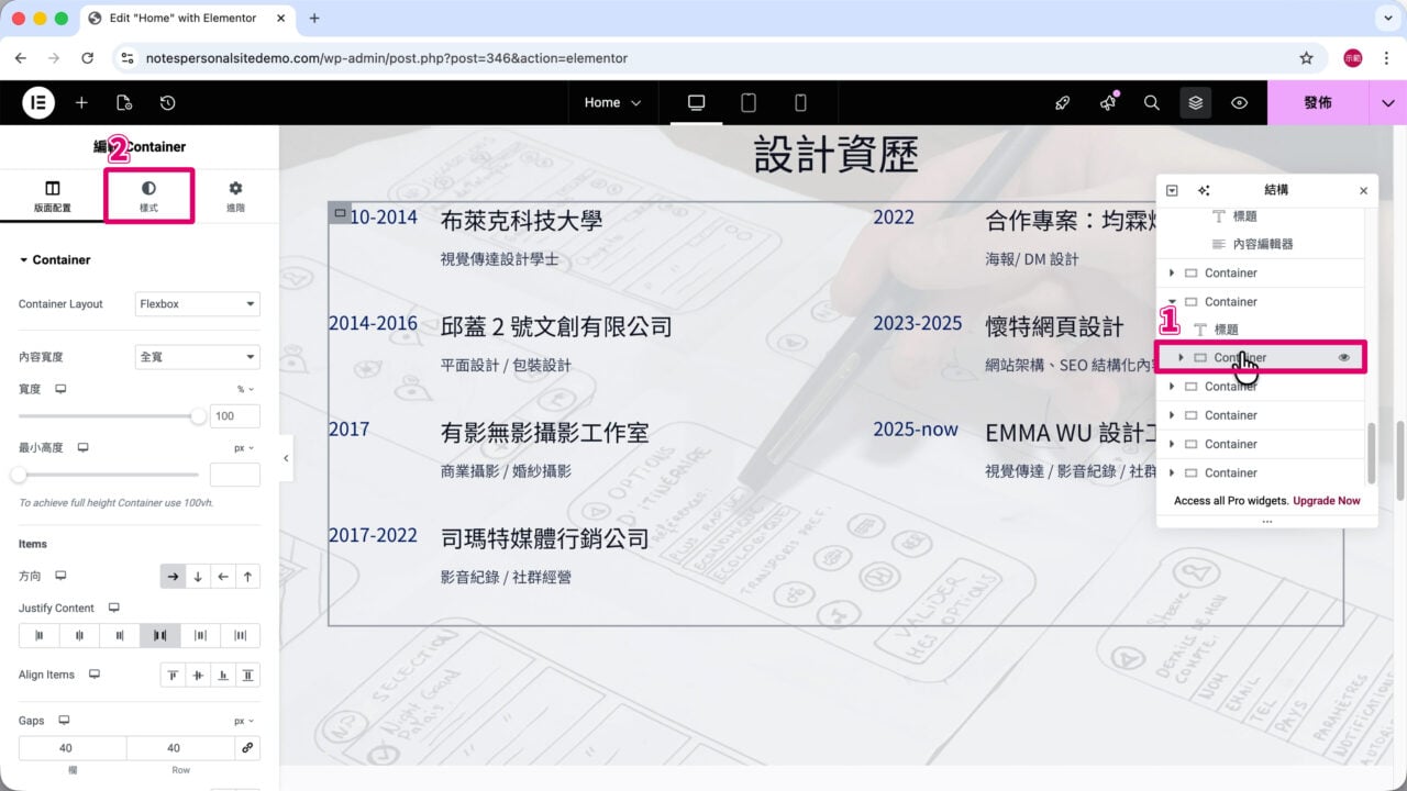 學經歷文字 Container 進階項目