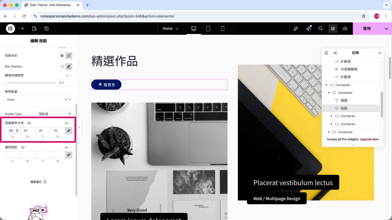 精選作品 按鈕框線圓角半徑