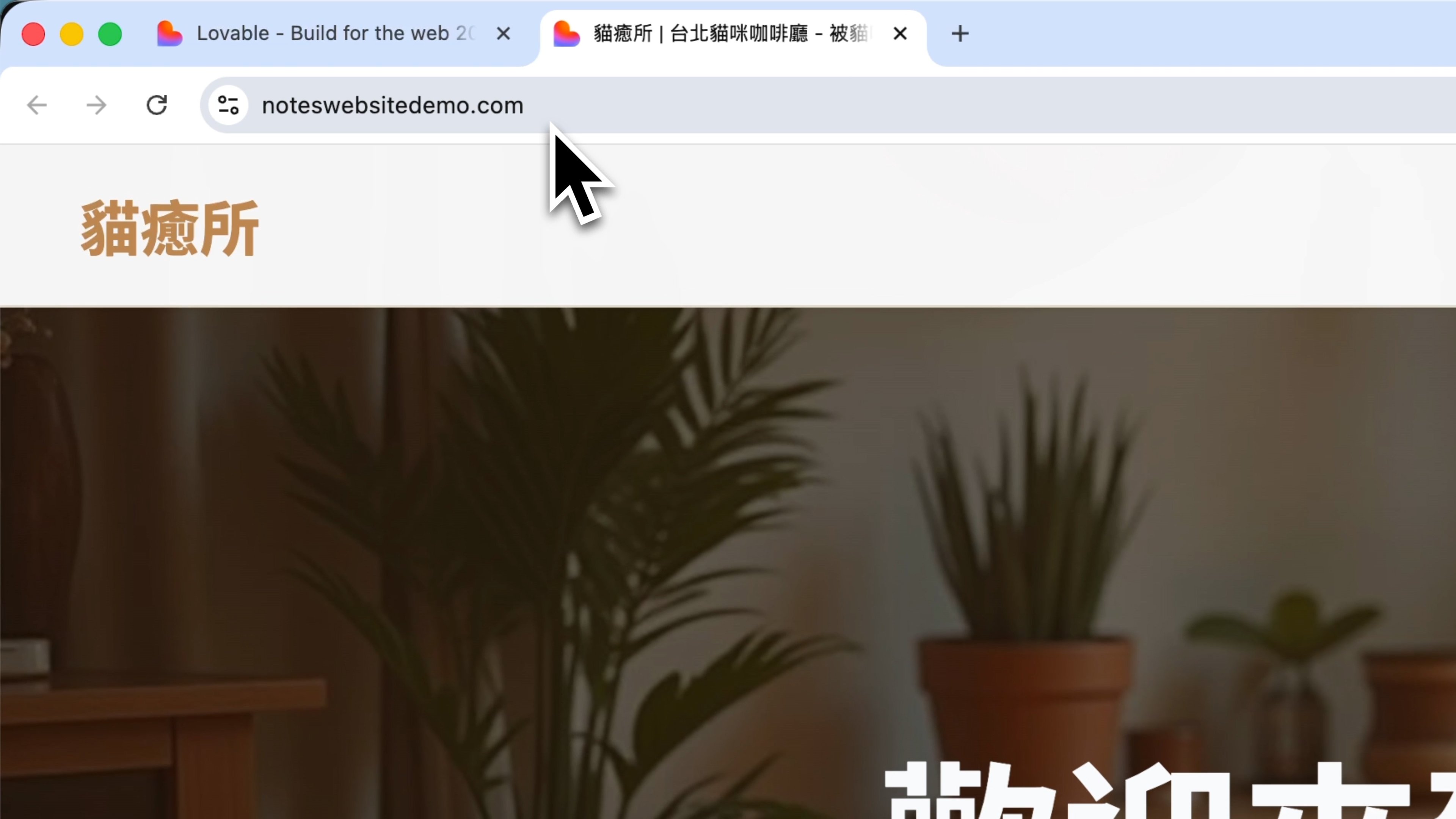 自訂域名正式上線