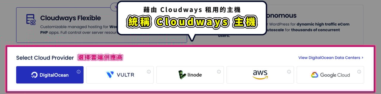 透過 Cloudways 租用的主機