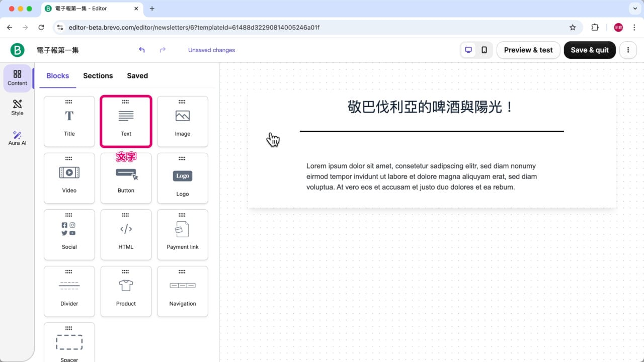 電子報中 拖放Text文字